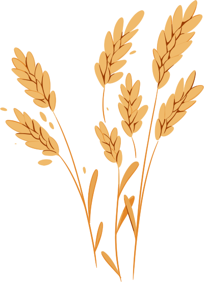 小麦扁平插画设计元素