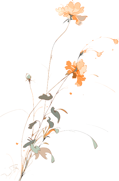 线条花朵透明背景素材