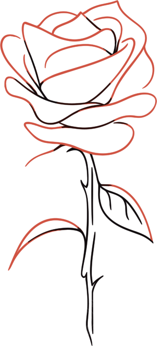 线条玫瑰花插图