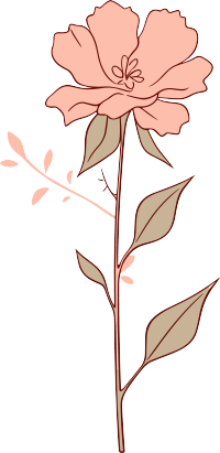 线条花朵透明背景PNG元素