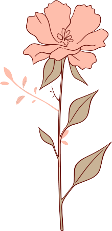 线条花朵透明背景PNG元素
