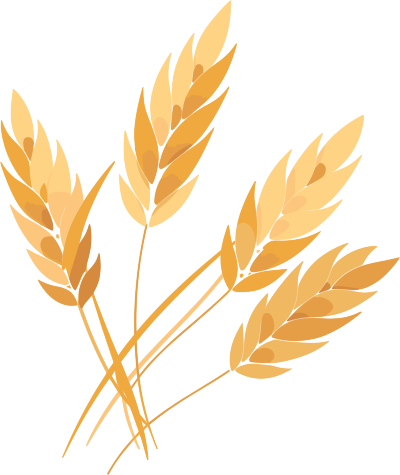 小麦透明背景插画