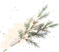 松枝积雪商用素材