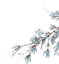松枝积雪插画