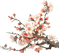 梅花中国风高清PNG素材