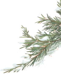 松枝积雪高清质量素材