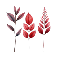 树叶简约插画素材
