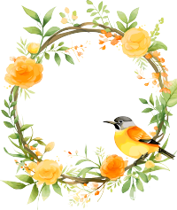 绿色边框商用插画元素
