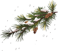 松枝积雪插画设计创作素材