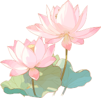 莲花简约儿童插画