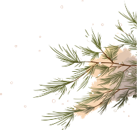 松枝积雪透明背景插图