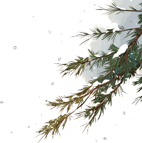 松枝积雪插图