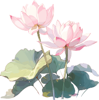 莲花透明背景插画