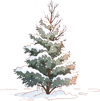 冬天大树透明背景素材