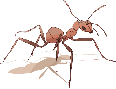 蚂蚁卡通高清插图