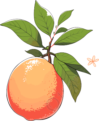 水果装饰橙子透明背景PNG素材