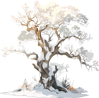 冬天大树手绘风格插图