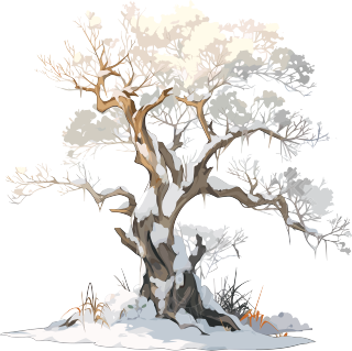 冬天大树手绘风格插图