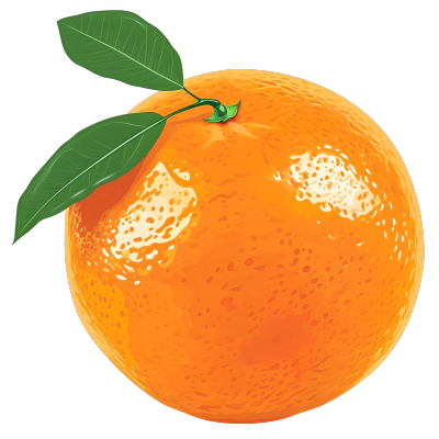 橙子创意设计素材