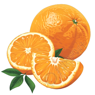橙子PNG素材插画