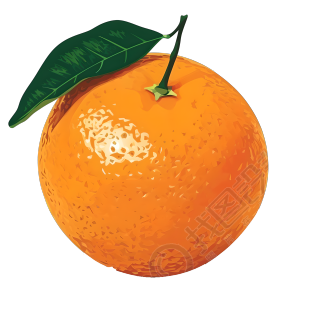 橙子透明背景高清图形素材