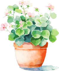水彩花卉商业设计插画