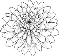 重阳节简笔画