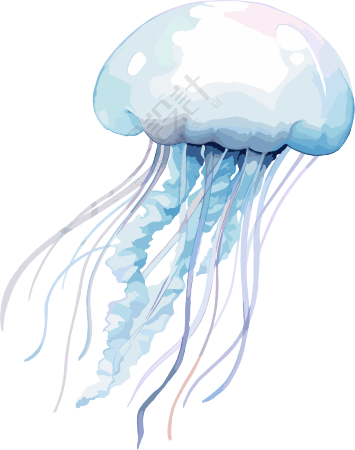 水母高清PNG素材
