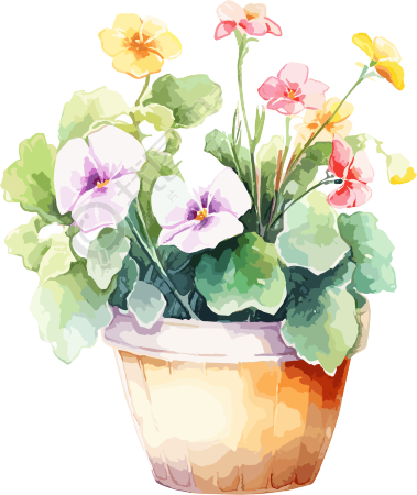 水彩花卉绘画图形元素