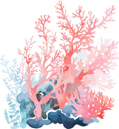 珊瑚手绘插图