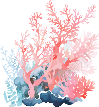 珊瑚手绘插图