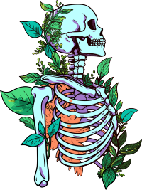 人体骨架PNG图标插画