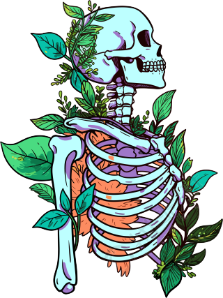 人体骨架PNG图标插画