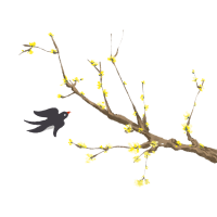 立春时节燕子小黄花插画