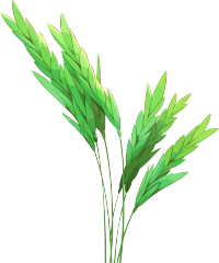 麦穗可商用素材