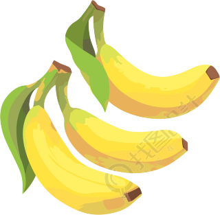 香蕉简洁风格插画