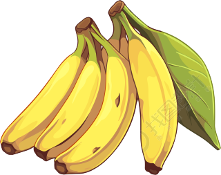 香蕉高清素材