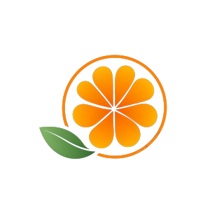 橙子logo向量插图
