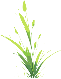 小草卡通商用插画