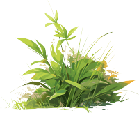 小草卡通插图