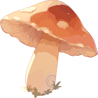 蘑菇卡通平面设计元素