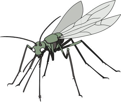 蚊子卡通素材