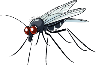 蚊子卡通插画