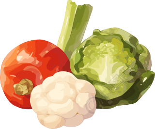 蔬菜水果卡通插画