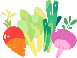 蔬菜水果卡通创意设计插图