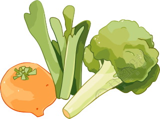 蔬菜水果卡通插图