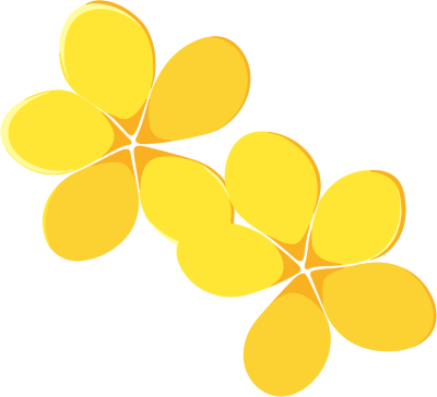 花瓣简单平面插画