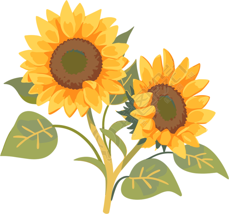 花朵插画设计元素