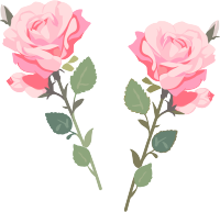 花朵高清质量素材