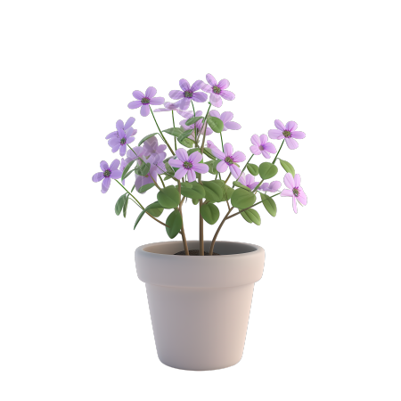 3D花卉高清图形元素